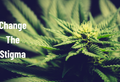 🌿 Cannabis Culture in South Africa: From Stigma to Acceptance 🌿