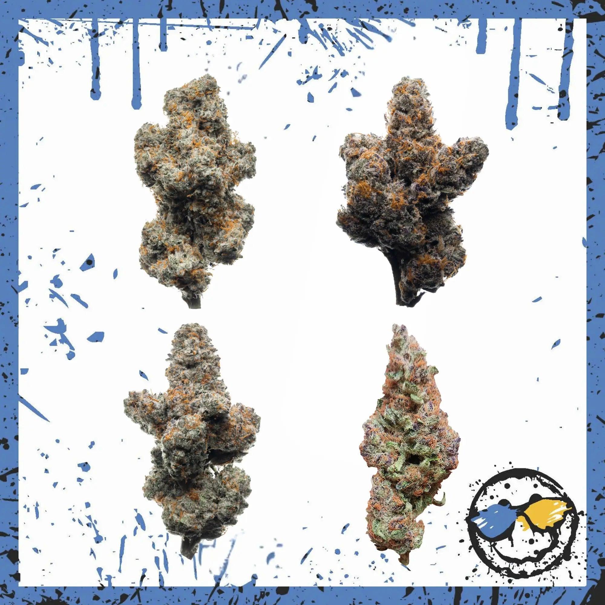 Buy Bud Online