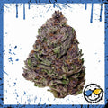 Premium Greenhouse Bud - Black Cherry Punch - Amazol.biz