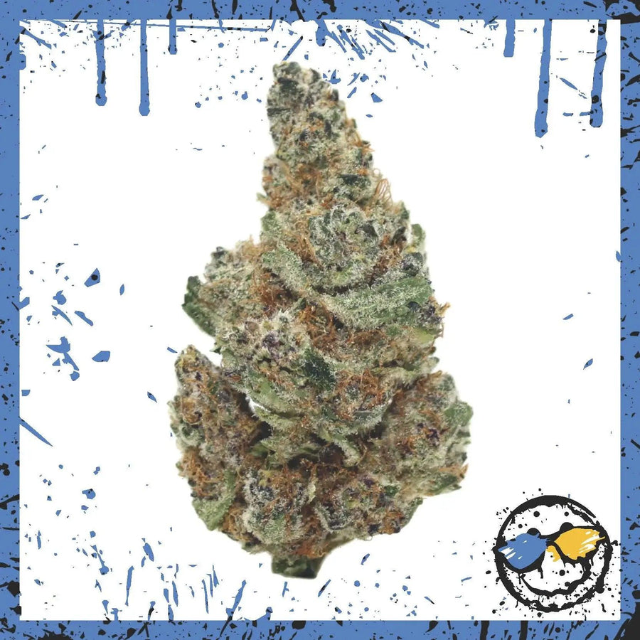 Bud AAA Indoor