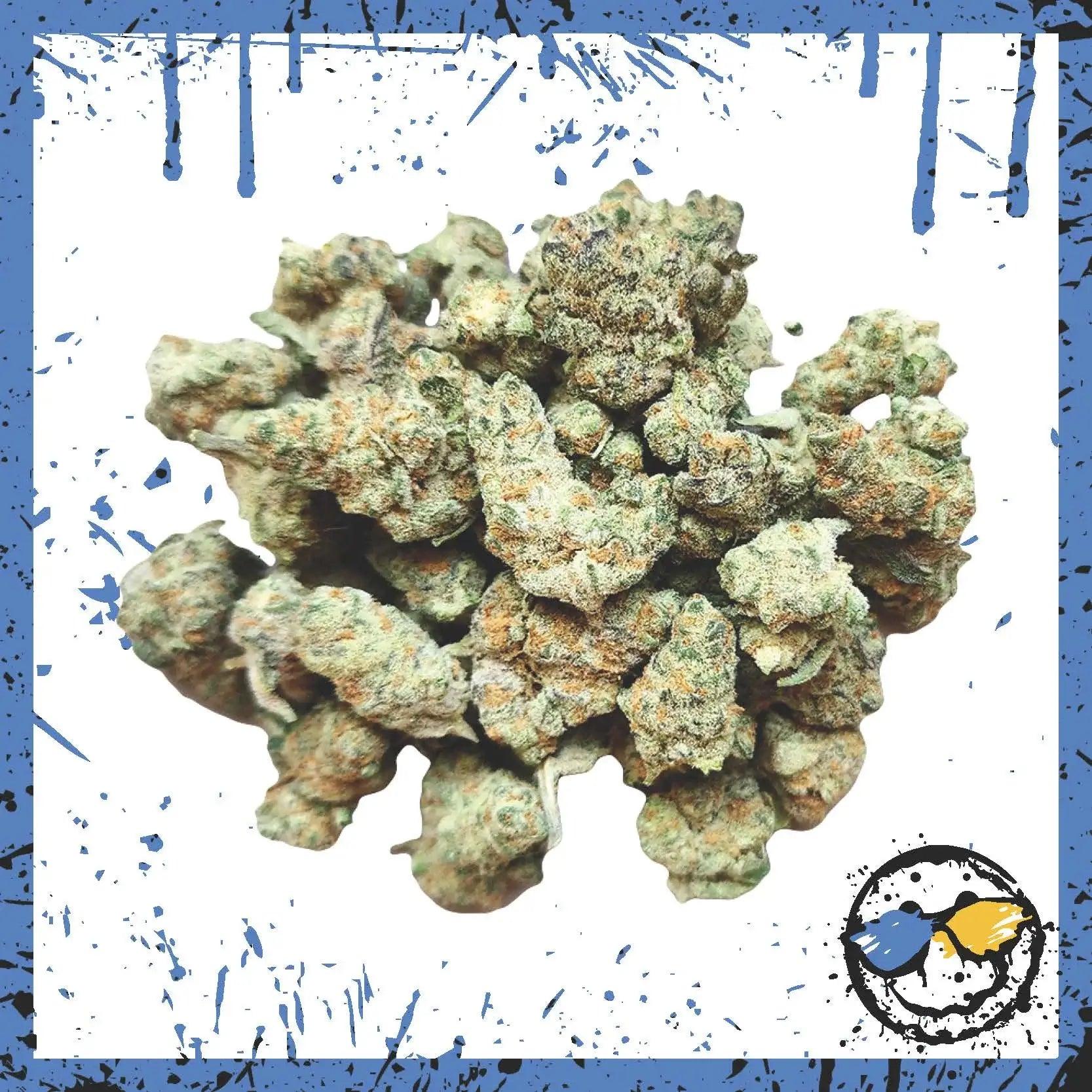 AA Indoor Popcorn - Divine Storm - Amazol.biz