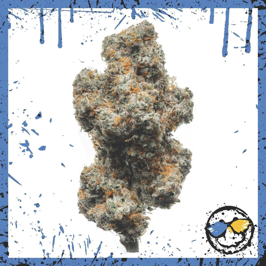 Exotic AAA Indoor Bud - Kush Mint - Amazol.biz