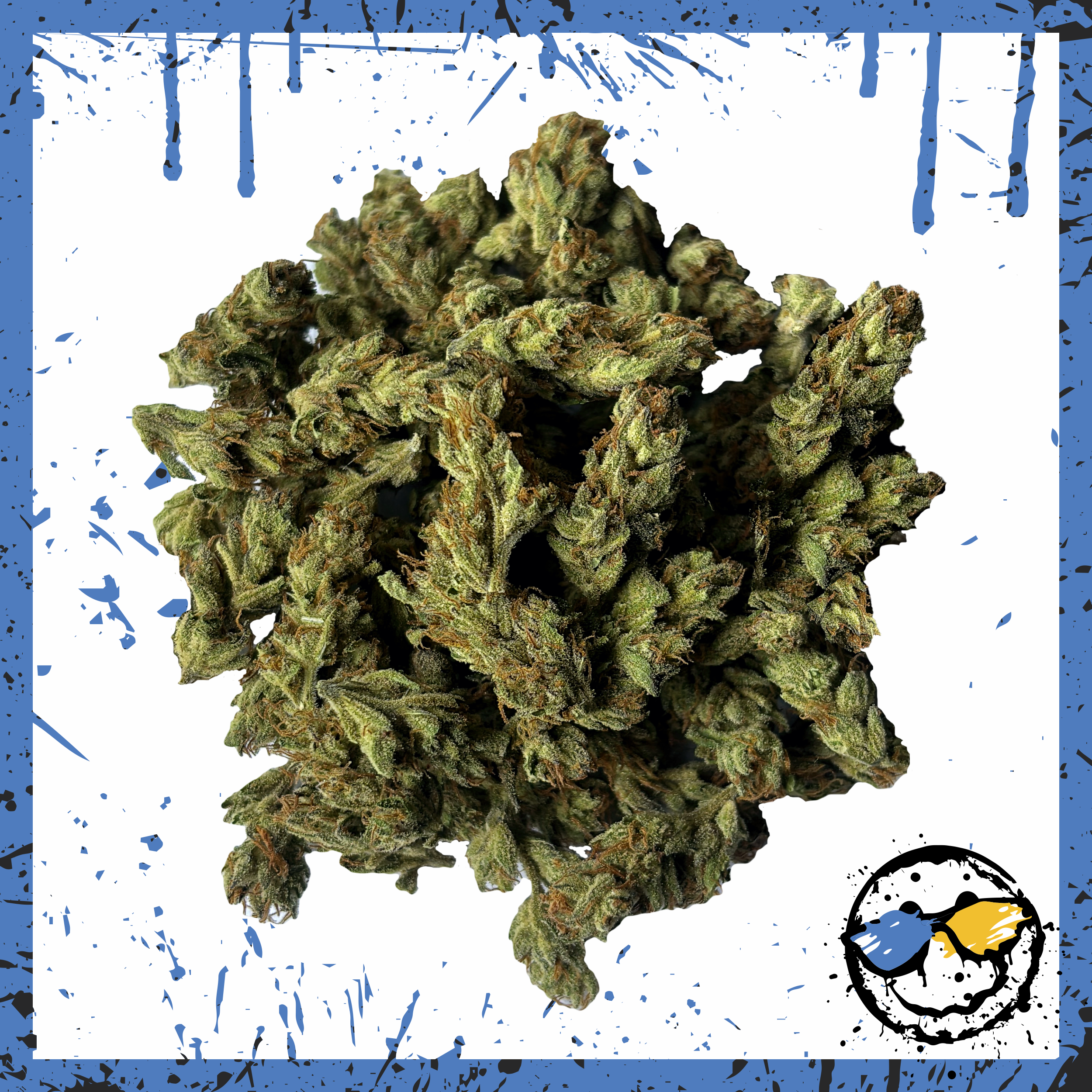 AAA Greenhouse Popcorn - Runtz X Layer Cake