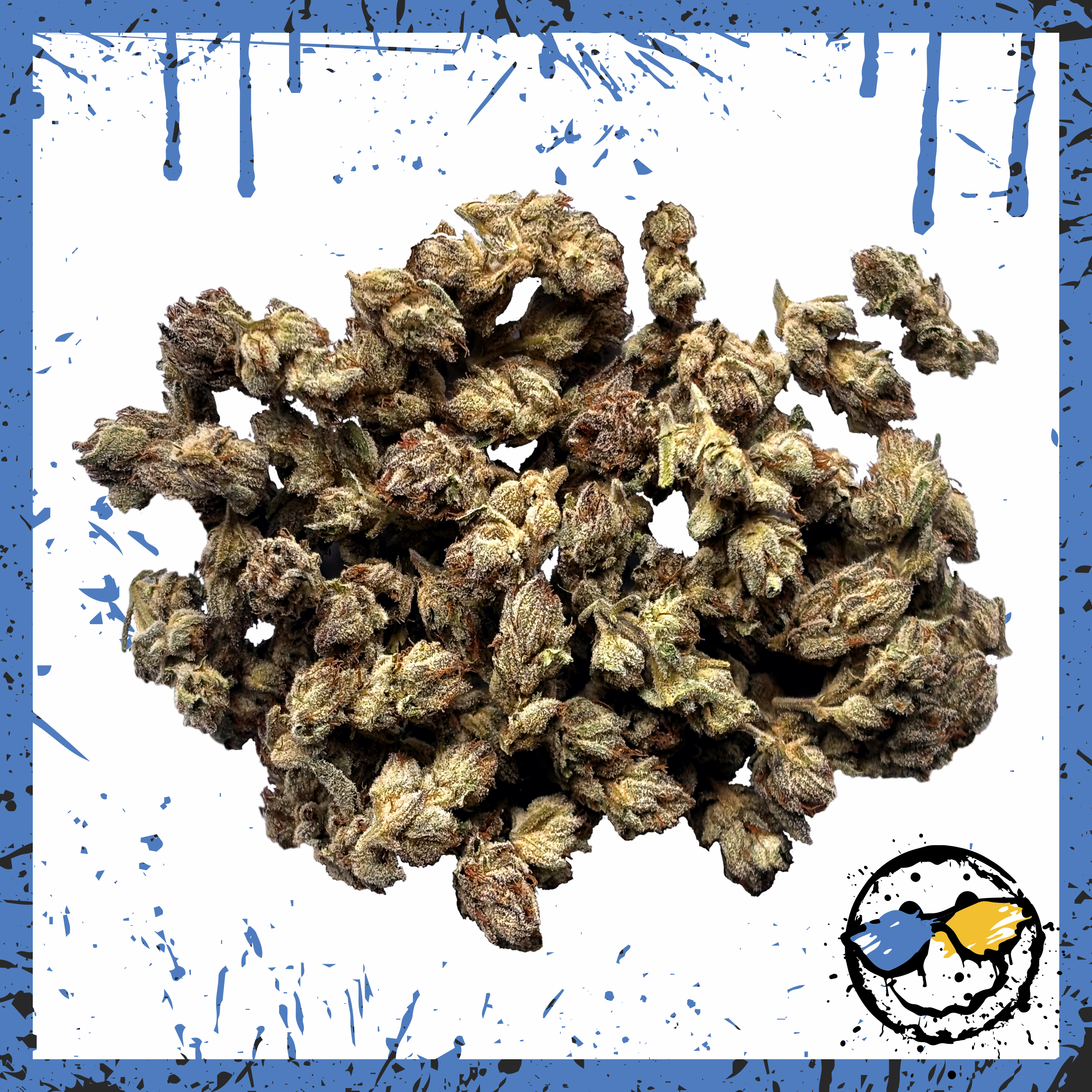 AAA Greenhouse Popcorn -Dosidos