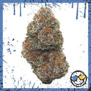 Exotic Indoor Bud - Purple Haze - Amazol.biz