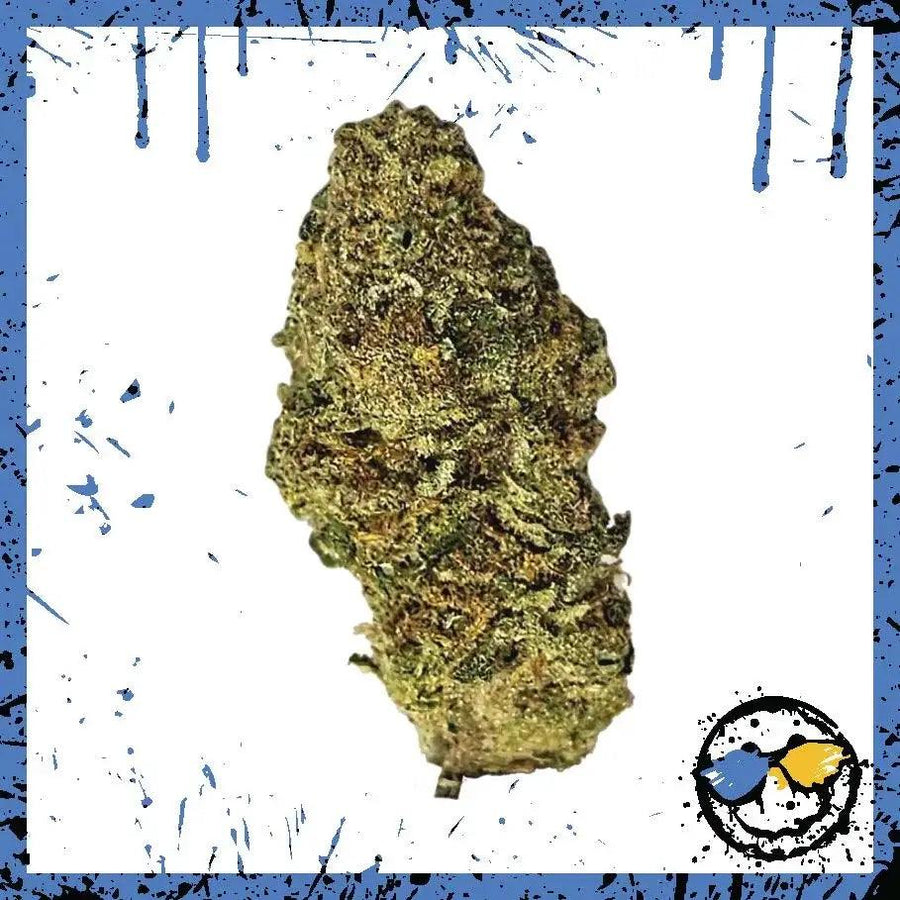 AAA Greenhouse Bud