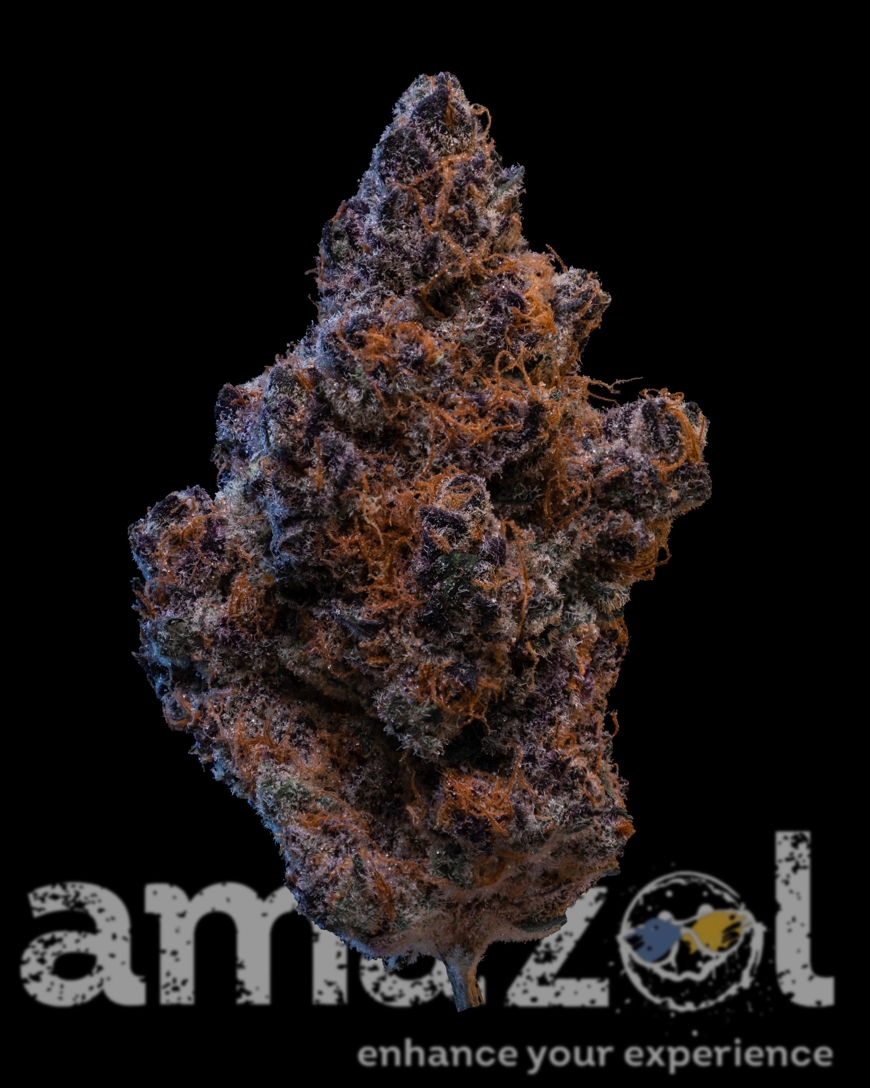 AAA Indoor Bud - Blockberry