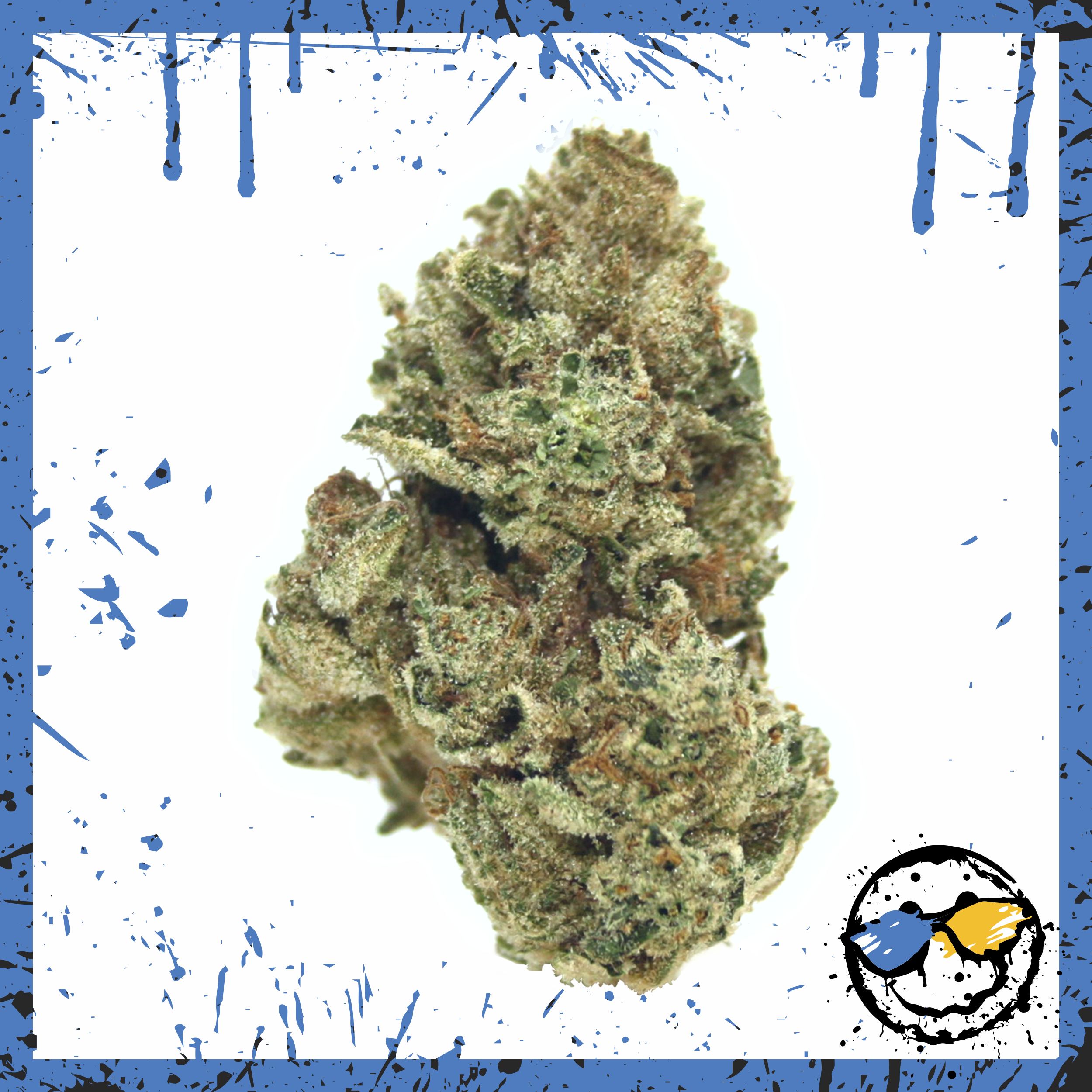 AAA Greenhouse Bud - Sky Walker