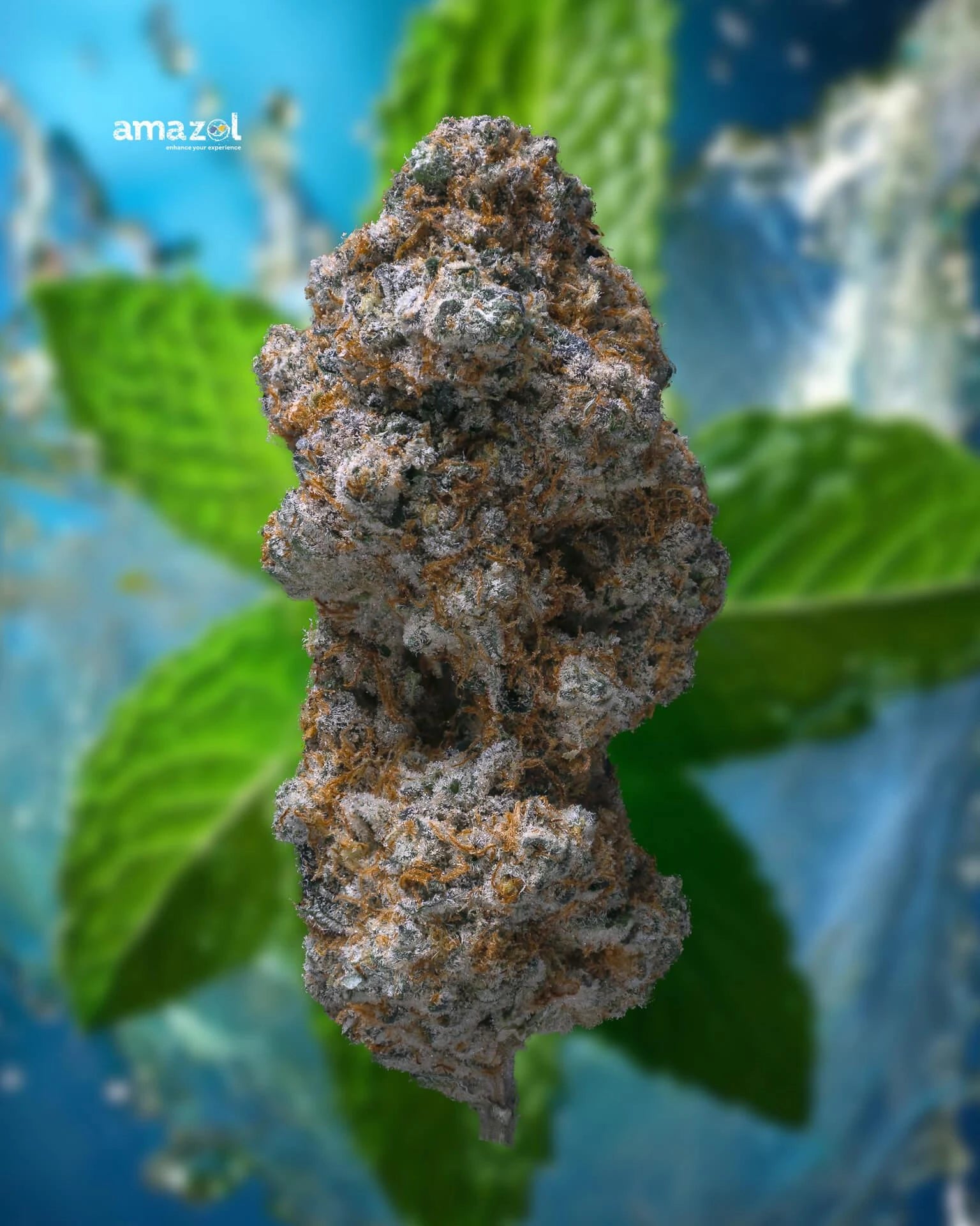 Exotic AAA Indoor Bud - Animal Cookies